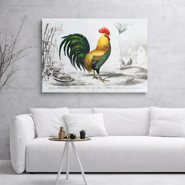 Vintage Rooster Canvas Print | French Country Farmhouse Wall Art | Premium 1.25" Gallery Wrap | Farmhouse Decor for Kitchen o