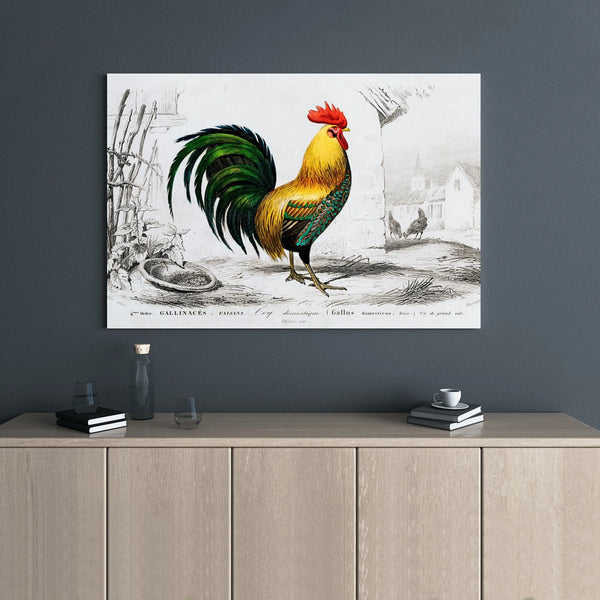 Vintage Rooster Canvas Print | French Country Farmhouse Wall Art | Premium 1.25" Gallery Wrap | Farmhouse Decor for Kitchen o