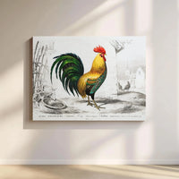 Vintage Rooster Canvas Print | French Country Farmhouse Wall Art | Premium 1.25" Gallery Wrap | Farmhouse Decor for Kitchen or Dining Room